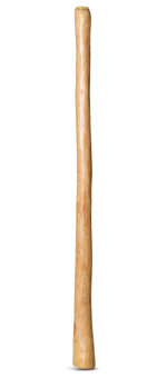 Medium Size Natural Finish Didgeridoo (TW666) 